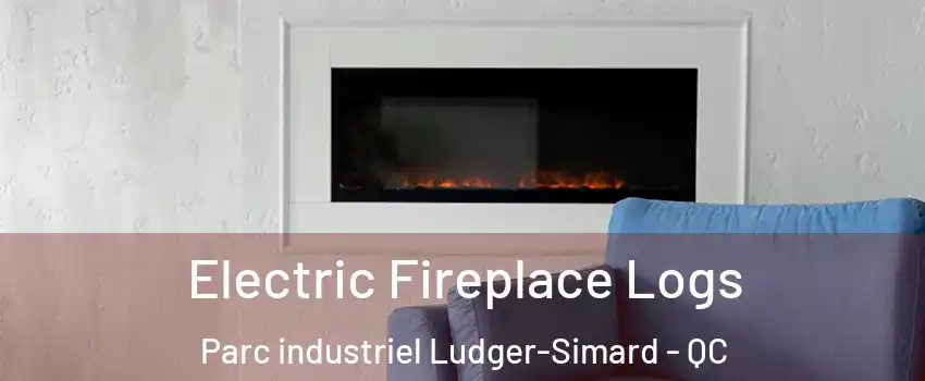  Electric Fireplace Logs Parc industriel Ludger-Simard - QC