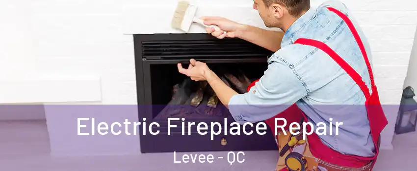  Electric Fireplace Repair Levee - QC