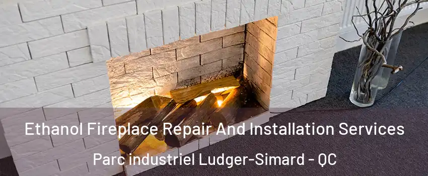  Ethanol Fireplace Repair And Installation Services Parc industriel Ludger-Simard - QC