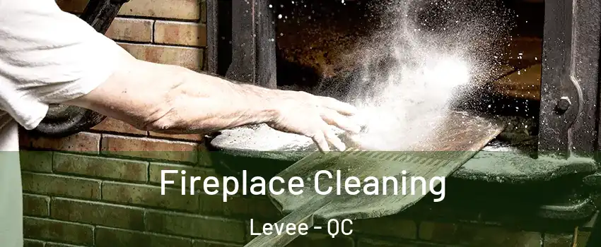  Fireplace Cleaning Levee - QC