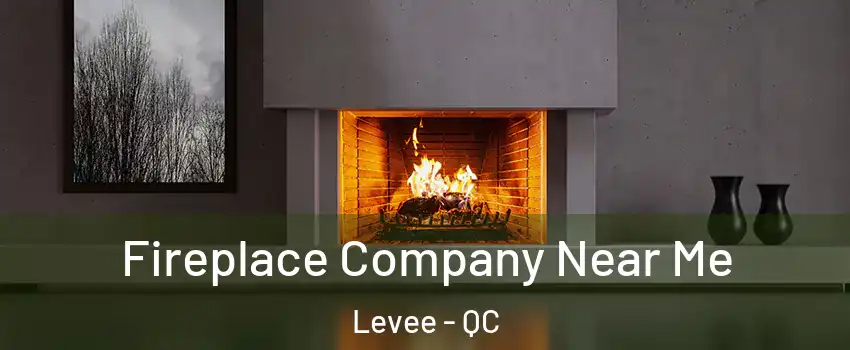  Fireplace Company Near Me Levee - QC