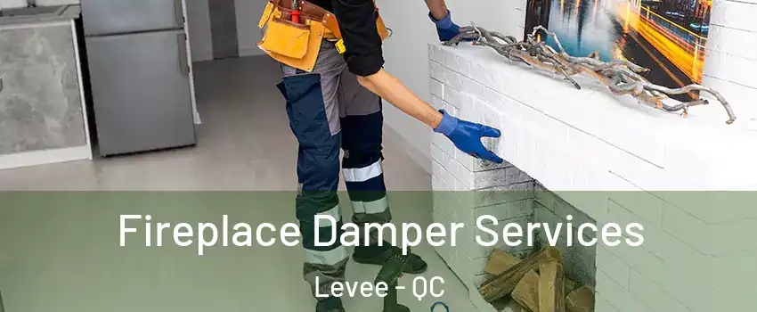  Fireplace Damper Services Levee - QC