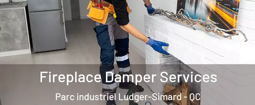  Fireplace Damper Services Parc industriel Ludger-Simard - QC