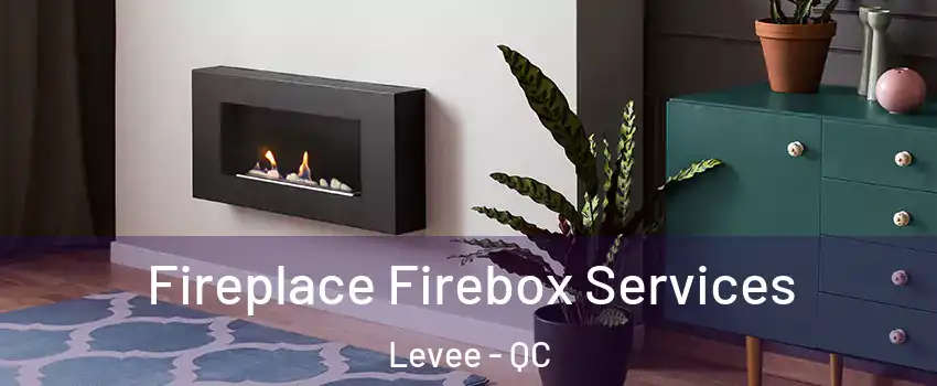  Fireplace Firebox Services Levee - QC