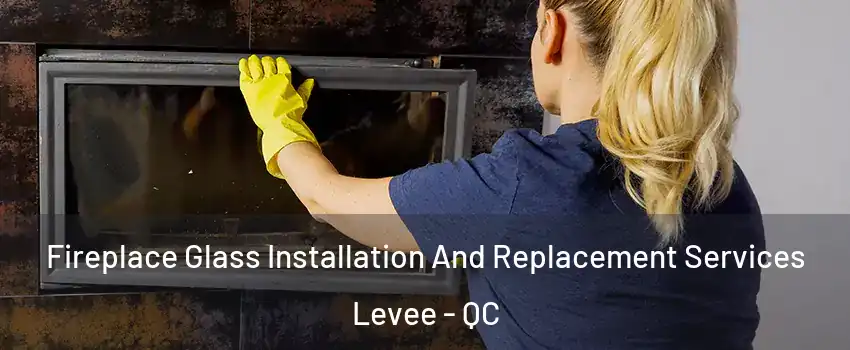  Fireplace Glass Installation And Replacement Services Levee - QC