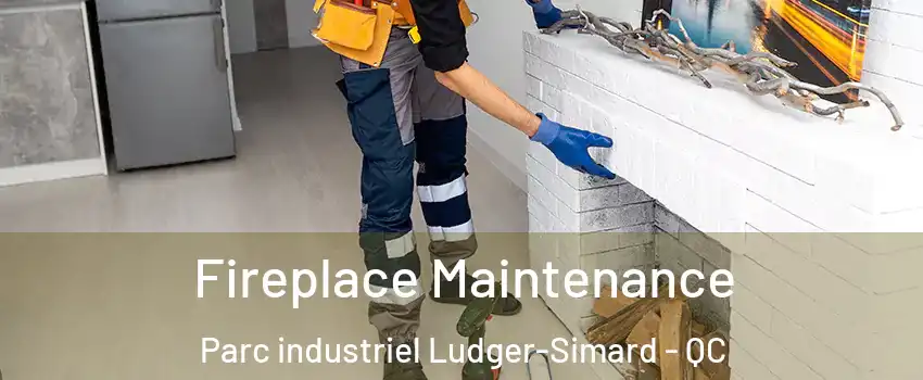  Fireplace Maintenance Parc industriel Ludger-Simard - QC