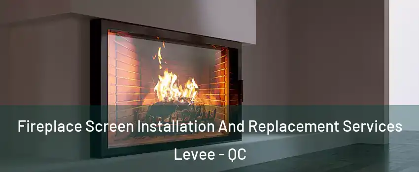  Fireplace Screen Installation And Replacement Services Levee - QC