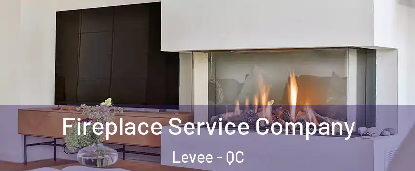  Fireplace Service Company Levee - QC