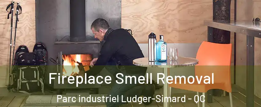  Fireplace Smell Removal Parc industriel Ludger-Simard - QC