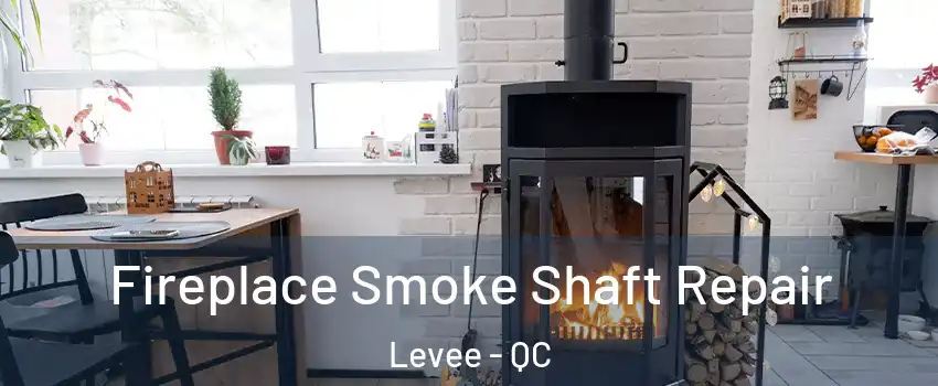  Fireplace Smoke Shaft Repair Levee - QC