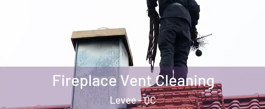  Fireplace Vent Cleaning Levee - QC