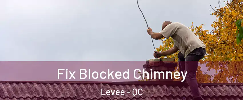  Fix Blocked Chimney Levee - QC