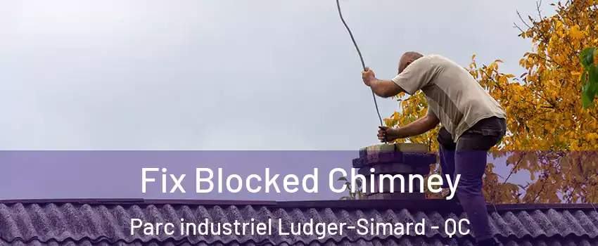  Fix Blocked Chimney Parc industriel Ludger-Simard - QC