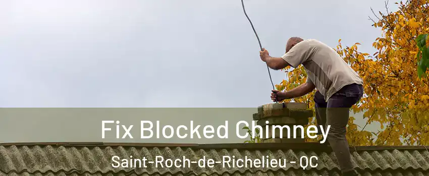  Fix Blocked Chimney Saint-Roch-de-Richelieu - QC