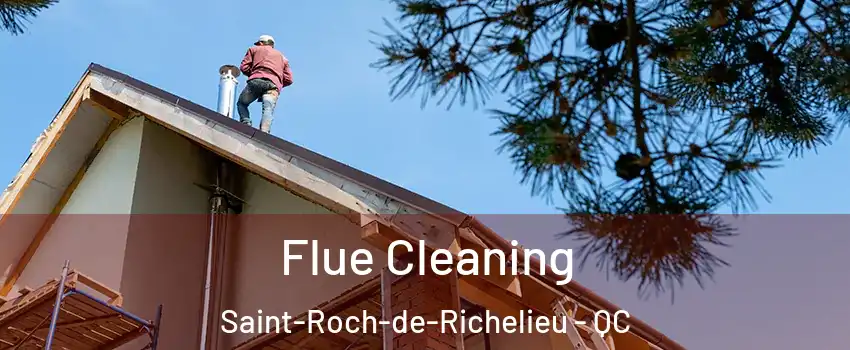  Flue Cleaning Saint-Roch-de-Richelieu - QC