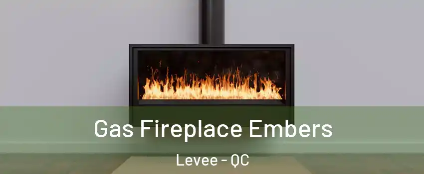  Gas Fireplace Embers Levee - QC