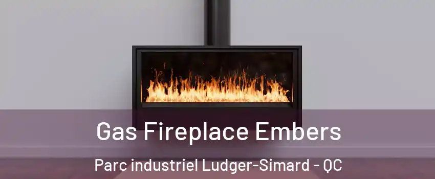  Gas Fireplace Embers Parc industriel Ludger-Simard - QC