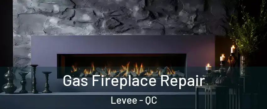  Gas Fireplace Repair Levee - QC