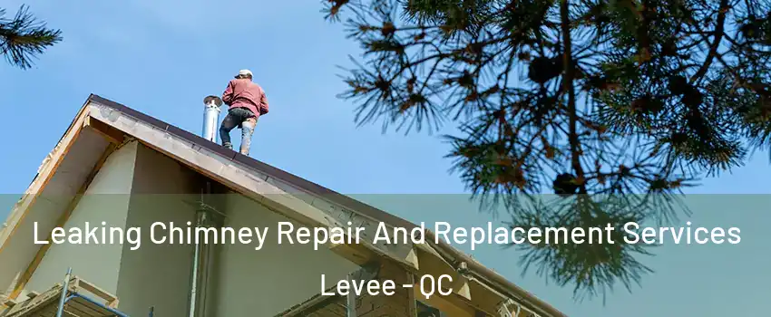  Leaking Chimney Repair And Replacement Services Levee - QC