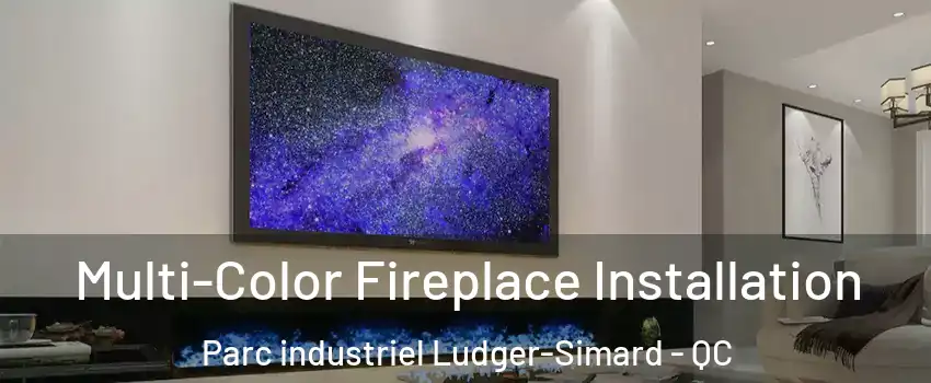  Multi-Color Fireplace Installation Parc industriel Ludger-Simard - QC