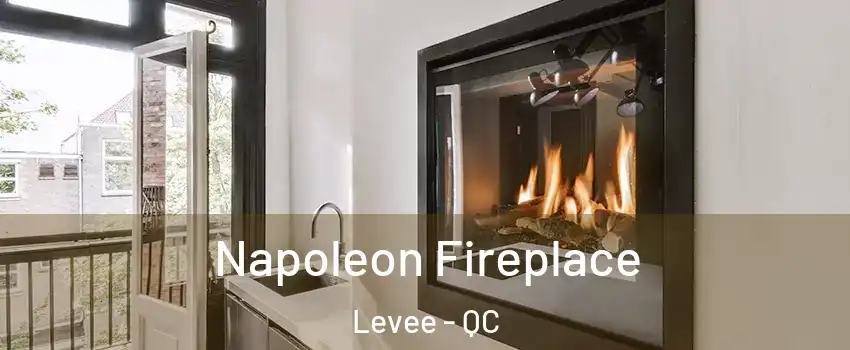  Napoleon Fireplace Levee - QC