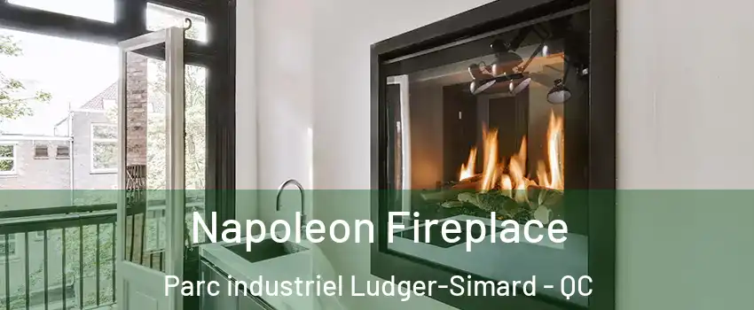  Napoleon Fireplace Parc industriel Ludger-Simard - QC