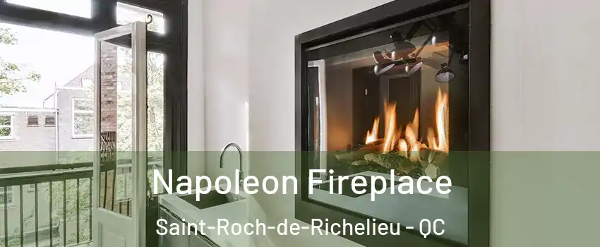  Napoleon Fireplace Saint-Roch-de-Richelieu - QC