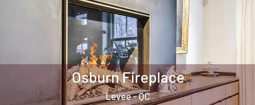  Osburn Fireplace Levee - QC