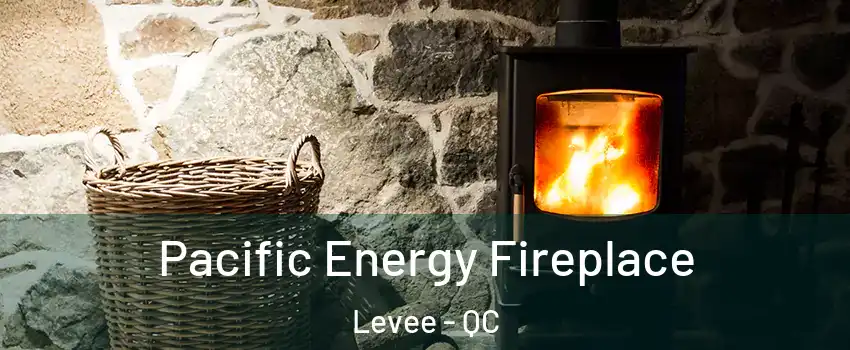  Pacific Energy Fireplace Levee - QC