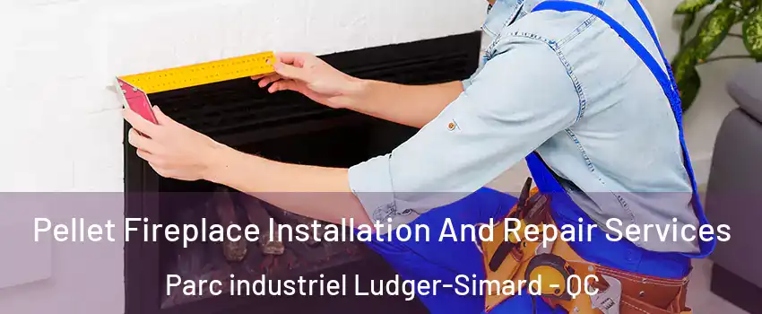  Pellet Fireplace Installation And Repair Services Parc industriel Ludger-Simard - QC