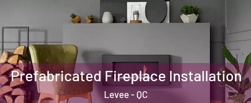  Prefabricated Fireplace Installation Levee - QC