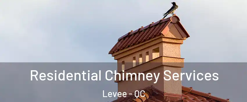  Residential Chimney Services Levee - QC