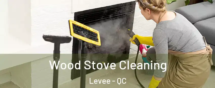  Wood Stove Cleaning Levee - QC